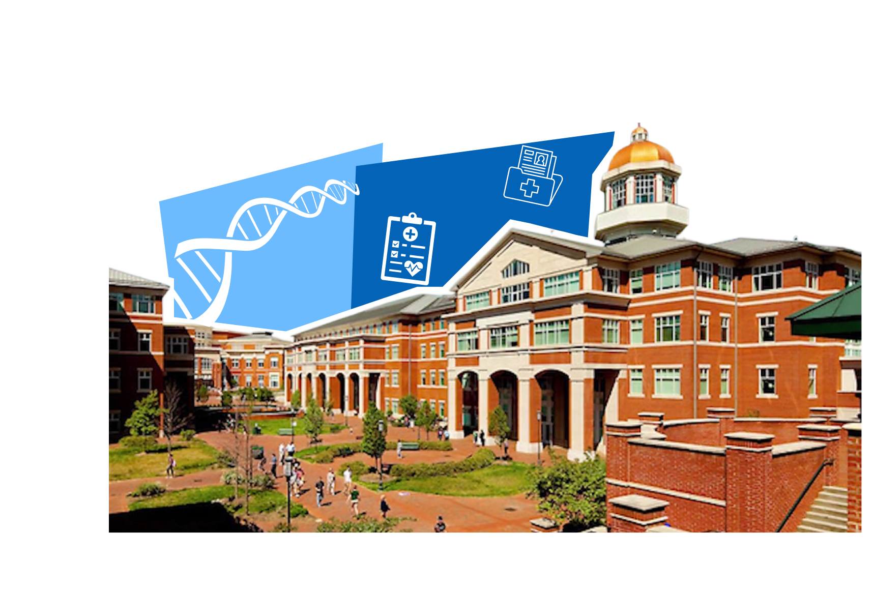 UNC medical science illustration